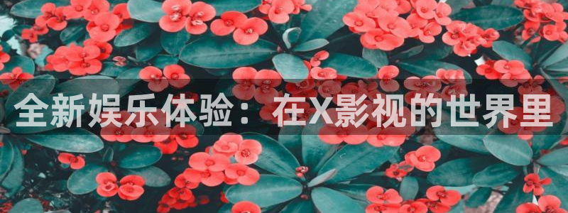 新闻图片