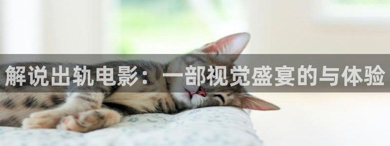 西瓜电影免费完整观看