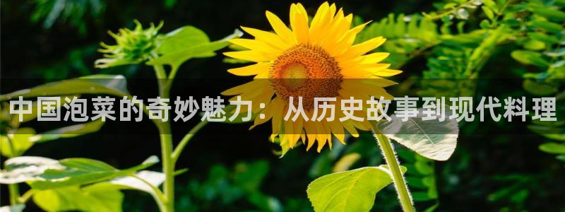 西瓜影院全职高手免费观看