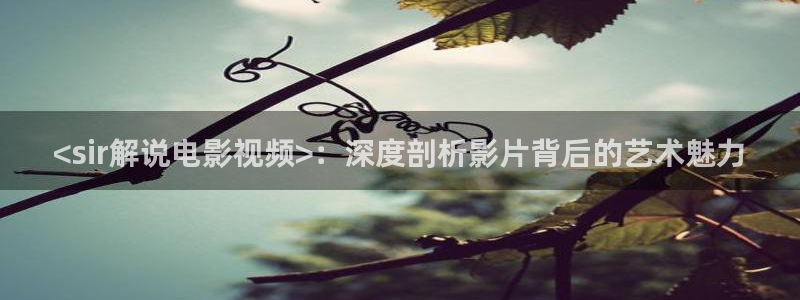 西瓜影院在线播放电视剧狂飙