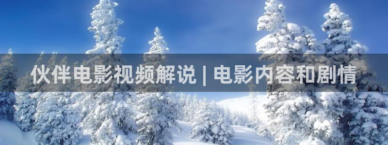 去有风的地方西瓜免费观看
