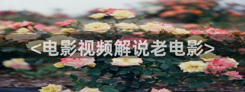 爱有来生在线观看免费完整版西瓜