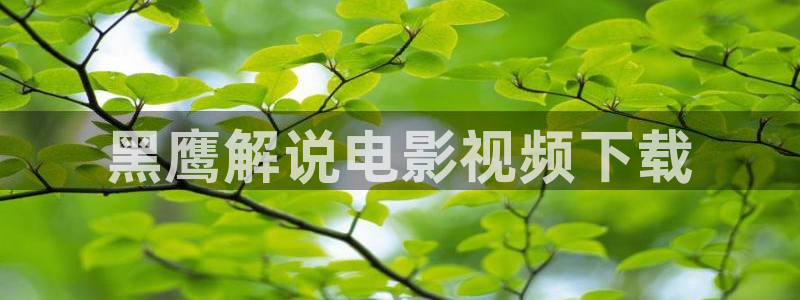 司藤在线观看完整版免费高清西瓜