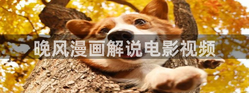 西瓜日剧在线