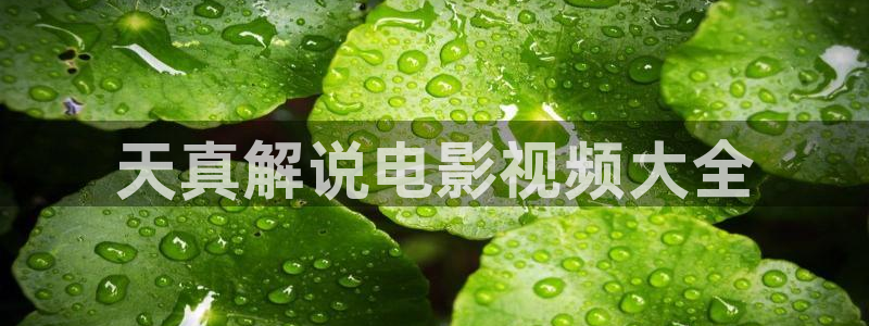 西瓜电影电视剧
