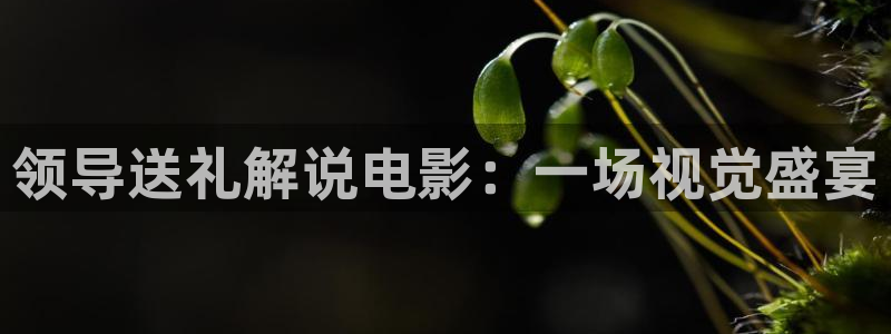宁波 西瓜