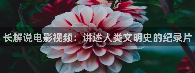 西瓜网在线免费观看