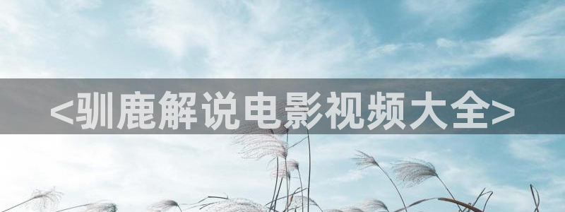 深情密码电视剧全集免费西瓜