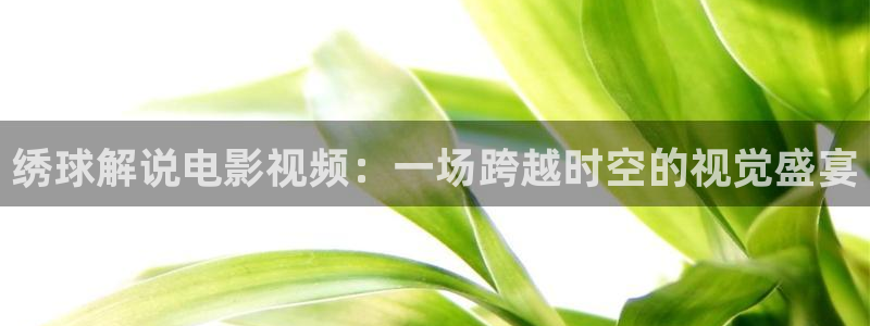 西瓜理论片免费观看