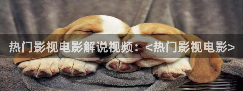 沉香如屑电视剧免费观看完整版西瓜影院