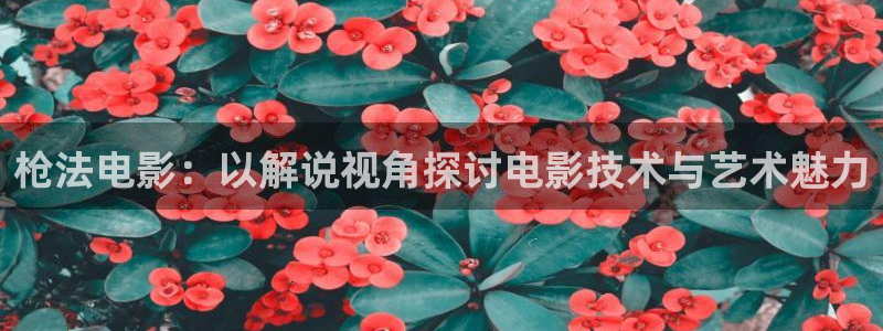 2012在线观看西瓜完整版免费