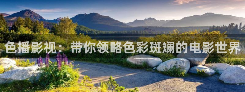 新闻图片
