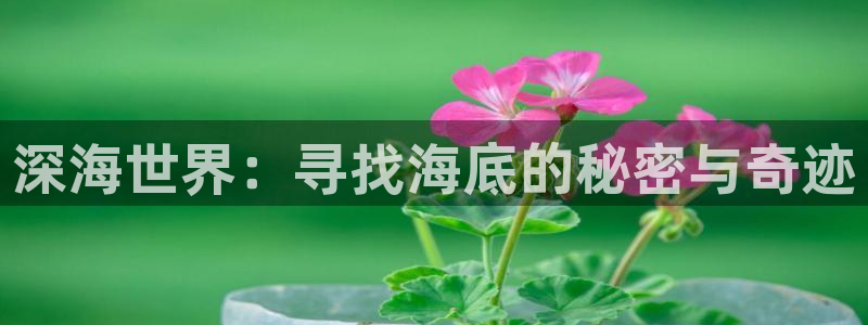 日本西瓜