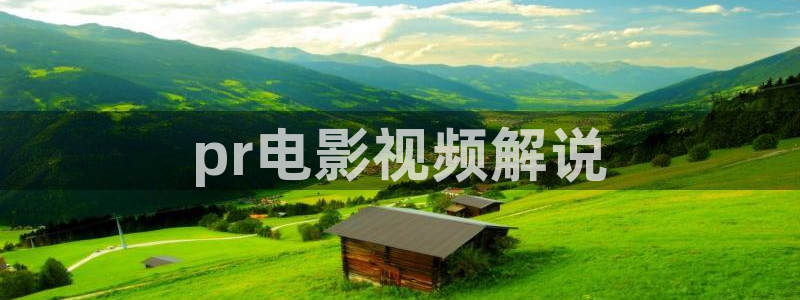 西瓜视频在线免费看