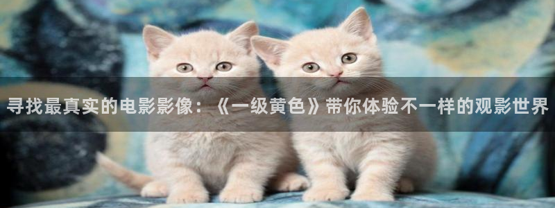 西瓜西瓜视频视频