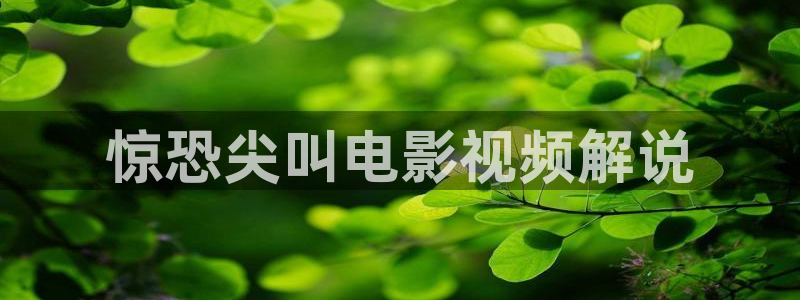 最好看的免费观看视频西瓜