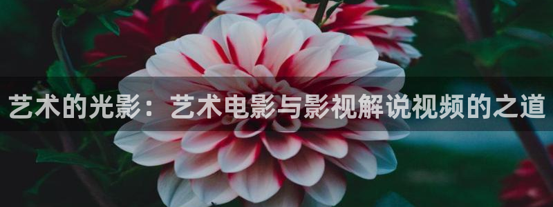 西瓜影视在线播放