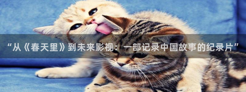 恋恋不忘电视剧免费全集观看西瓜