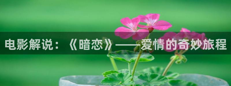 西瓜音影