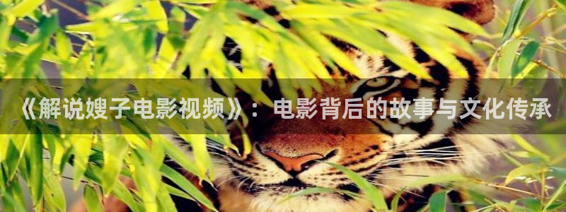 西瓜影院高清免费观看电视剧软件特色