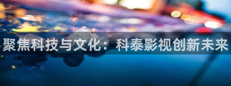 《亲爱的翻译官》免费观看西瓜