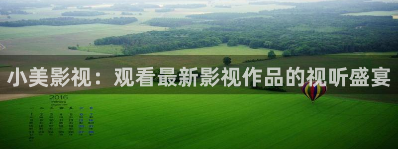 西瓜机