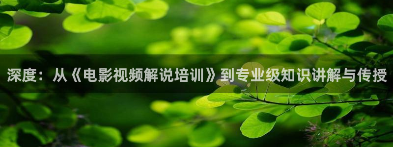 因法之名西瓜免费观看