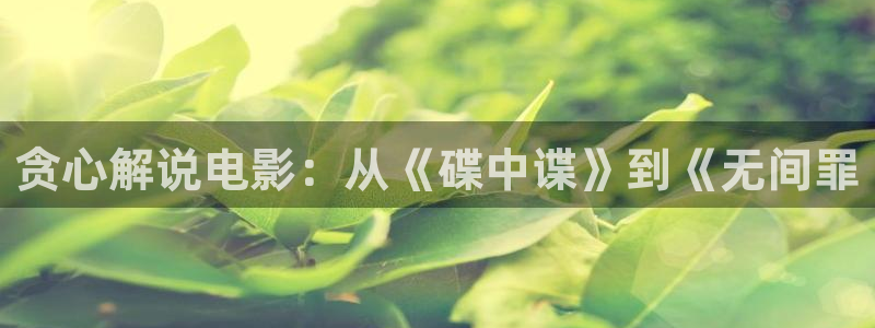 我喜欢你免费观看全集西瓜