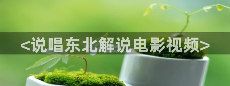 西瓜影音播放器