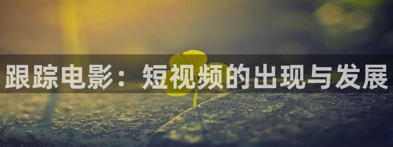 双面胶电视免费观看西瓜