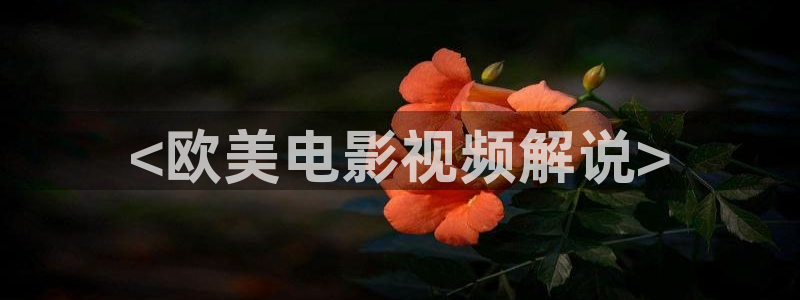 还珠格格第二部西瓜影院