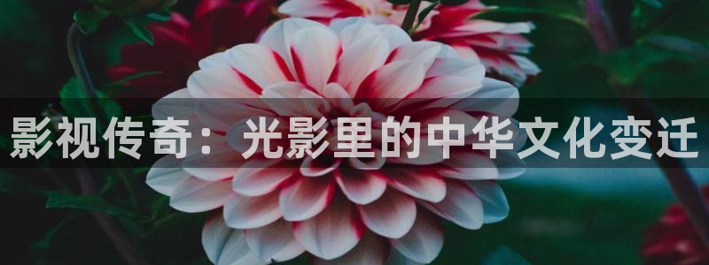 免费观看西瓜