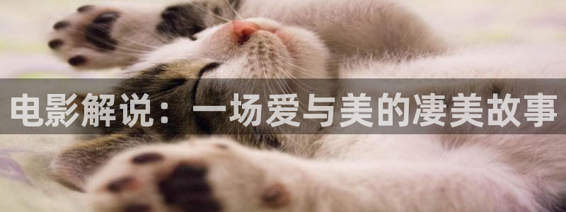 神马西瓜影院