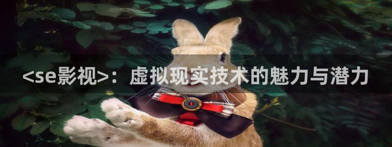 西瓜免费小