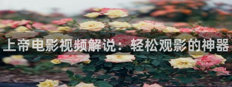 西瓜影院会员优惠