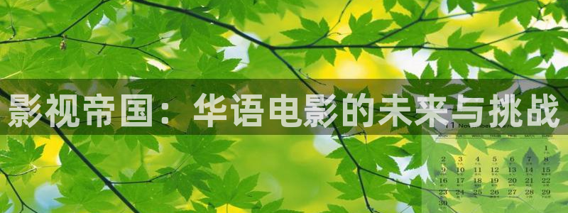 西瓜视步