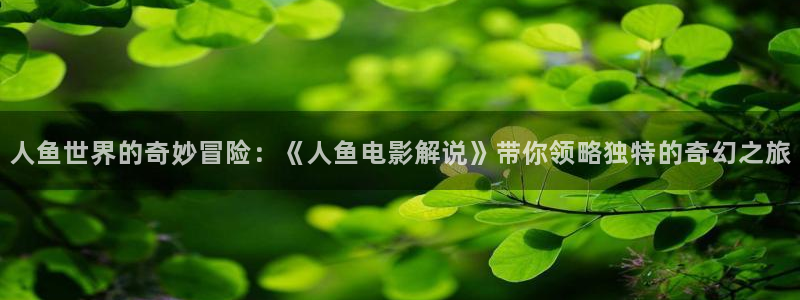 打开西瓜视频