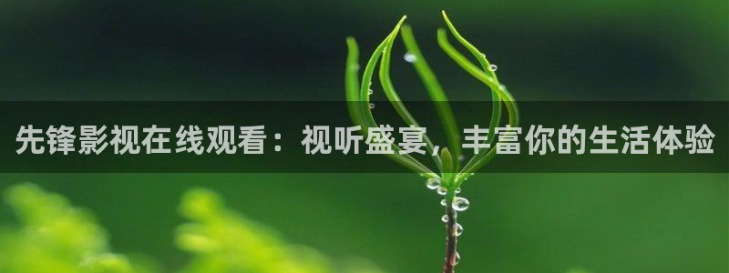 我们的四十年在免费观看西瓜