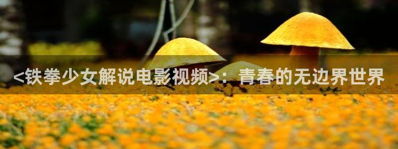 士兵突击在线观看免费西瓜